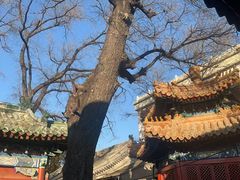 -贤良祠