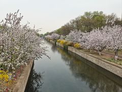 -元大都城垣遗址公园