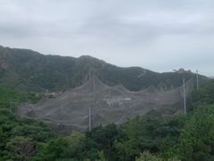 -燕塞湖鸟语林景区