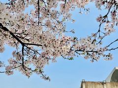 -龙美术馆(西岸馆)