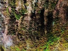 -重庆云阳龙缸景区