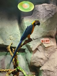 -Zoolung Zoolung动物主题公园(海信广场店)