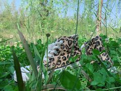 -白鹭湾湿地公园