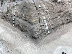 -金沙遗址博物馆