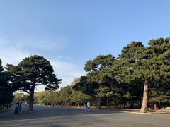 -北陵公园