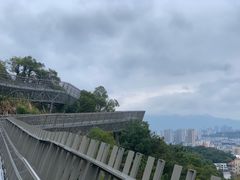-福道
