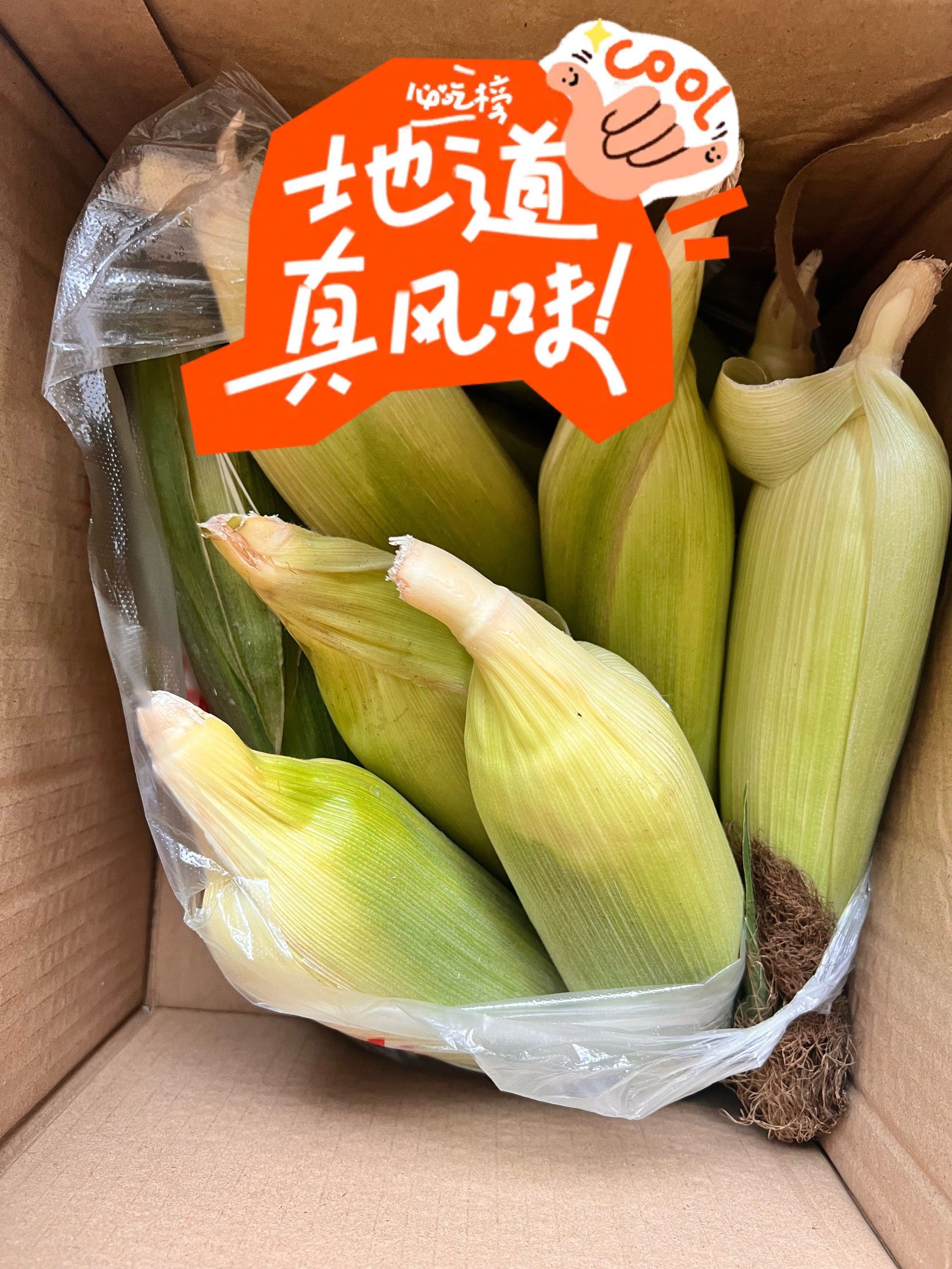 用照片记录这个夏天\\n梅雨天 吃西瓜 品桃李 啃玉米\\n六月最后两天