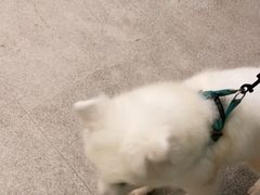 -宠颐生汉谟拉比宠物医院