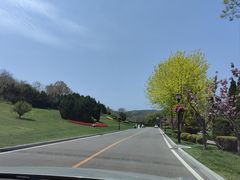 -棒棰岛宾馆景区