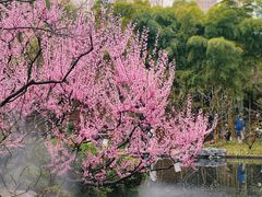-静安雕塑公园