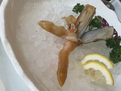 -纯味斑鱼府(中海环宇荟店)
