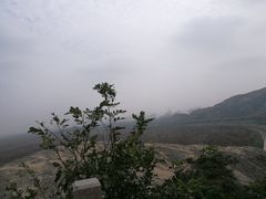 -洋山深水港