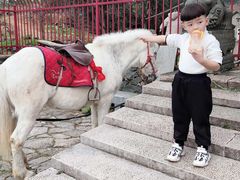 -瑞安圣井山景区