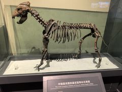-大庆市博物馆