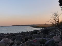 -上海吴淞炮台湾国家湿地公园