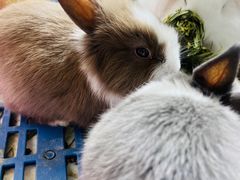 -三旗百汇商品城