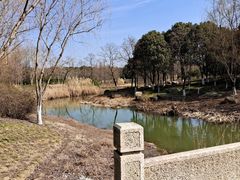 -贡湖湾湿地公园