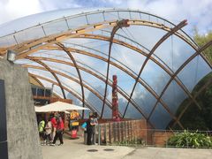 -怀托摩萤火虫洞