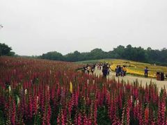 iphone_upload_pic-保利石象湖景区