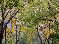 -森林公园(尖草坪区)