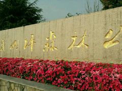 -铁山坪森林公园