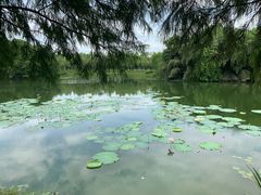 -艾溪湖湿地公园