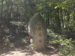 -上海佘山国家森林公园天马山园