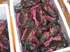 -青石桥市场北1-27号