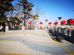 景点-信号山公园