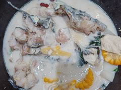 -鲜潭蒸汽石锅鱼(五道口购物中心店)