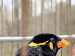 -昆山城市生态森林公园