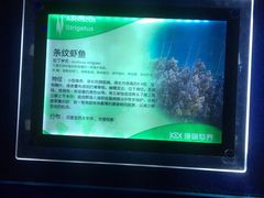 -大连圣亚海洋世界