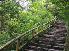 -木兰云雾山