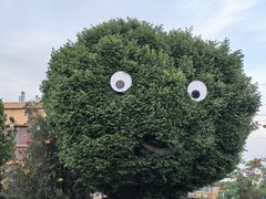 -特克斯八卦城