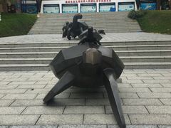 -广东惠东海龟国家级自然保护区