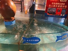 -坛宗剁椒鱼头(河西王府井店)