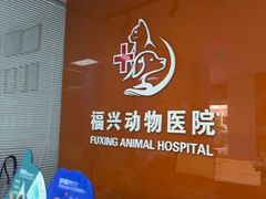 -瑞派福兴宠物医院犬猫全科·骨科·中西医结合(河东店)