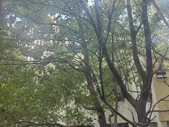 -梅间堂茶馆(绿地缤纷城店)