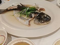 -稻香酒家·35年老字号(侨光店)