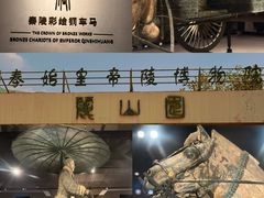 -秦始皇帝陵博物院-丽山园