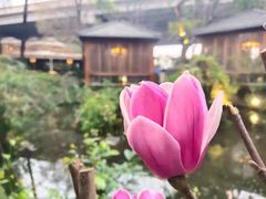 -大妙火锅·非物质文化遗产(东湖公园店)