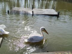 -宁波杭州湾国家湿地公园