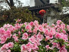 -惠山古镇·寄畅园