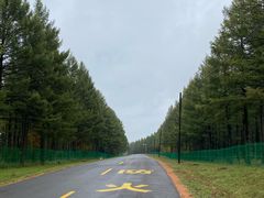 -塞罕坝国家级自然保护区