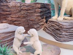 -陕西自然博物馆