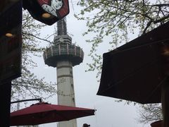 -茶颜悦色(岳麓山顶店)