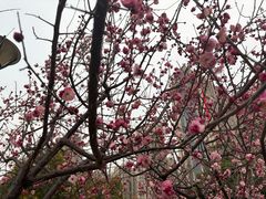 -河南工业大学(莲花街校区)