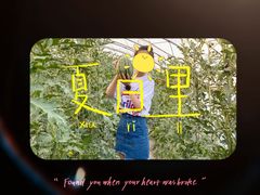 -庞各庄西瓜蔬菜采摘园·锦华瓜园