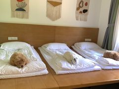 -太阳岛度假酒店