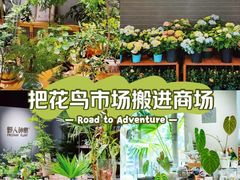 -瑞虹新天地月亮湾